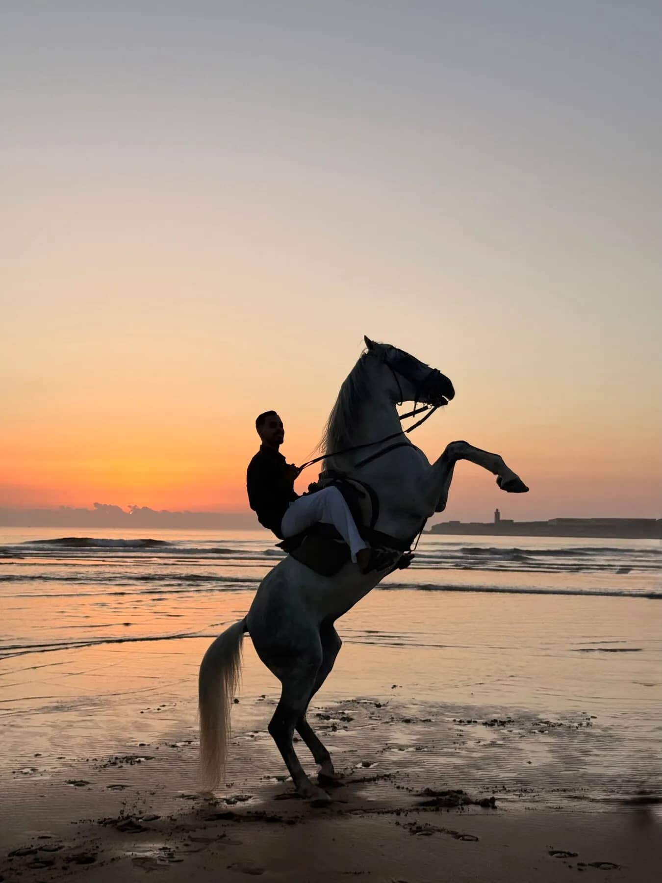 2h Sunset Horseback Ride in Essaouira - Image 1