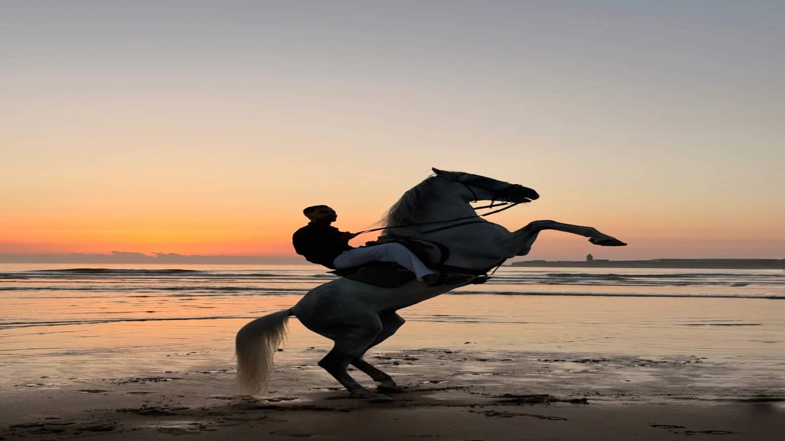 1h de paseo a caballo al atardecer en Essaouira
