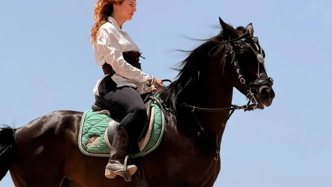 4-Hour Horseback Trek in Essaouira with Moroccan Tea Break - Image 1