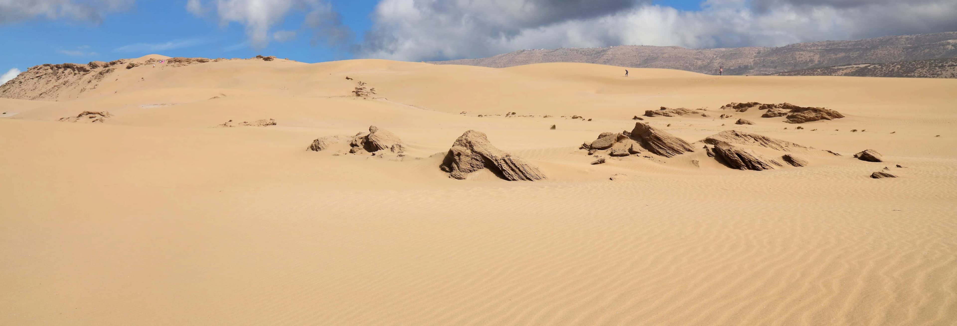Desert Buggy Tour