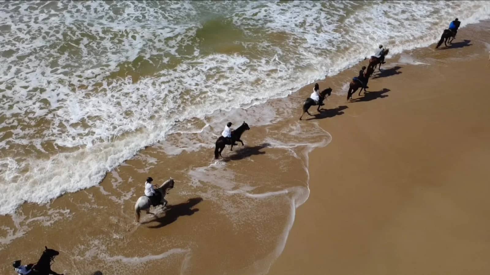 Passeggiata a cavallo di 1 ora di giorno a Essaouira