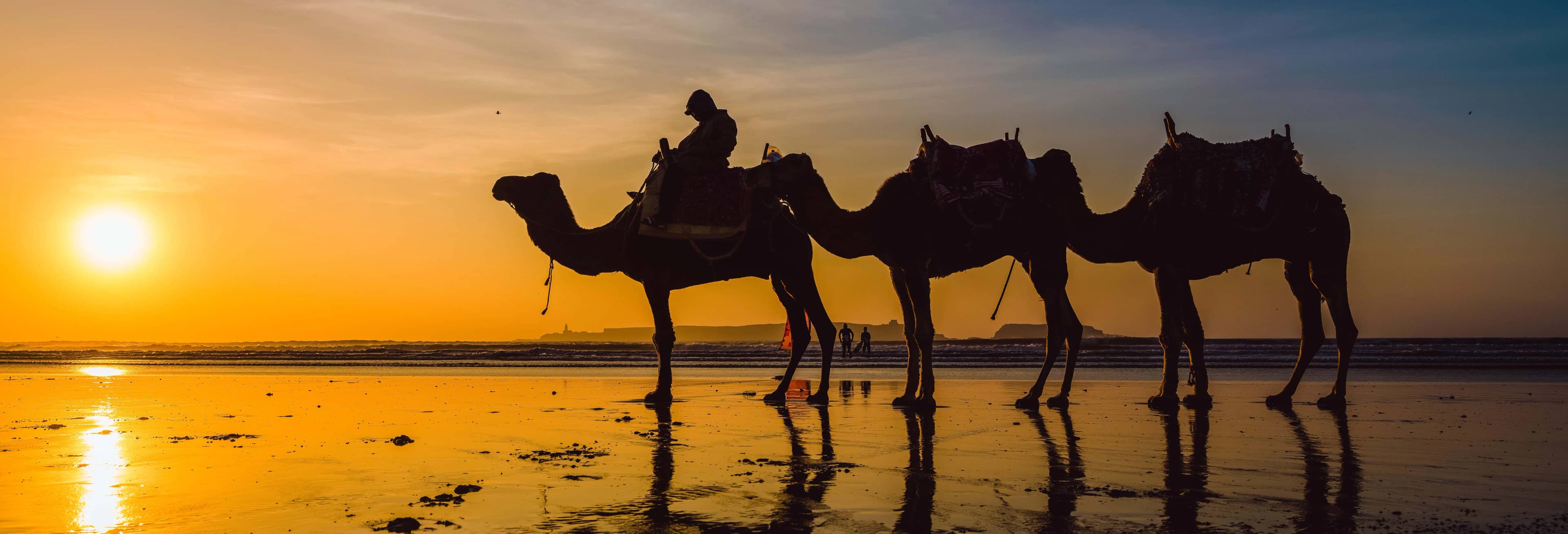 Sunset Camel Ride with Dinner in Agadir