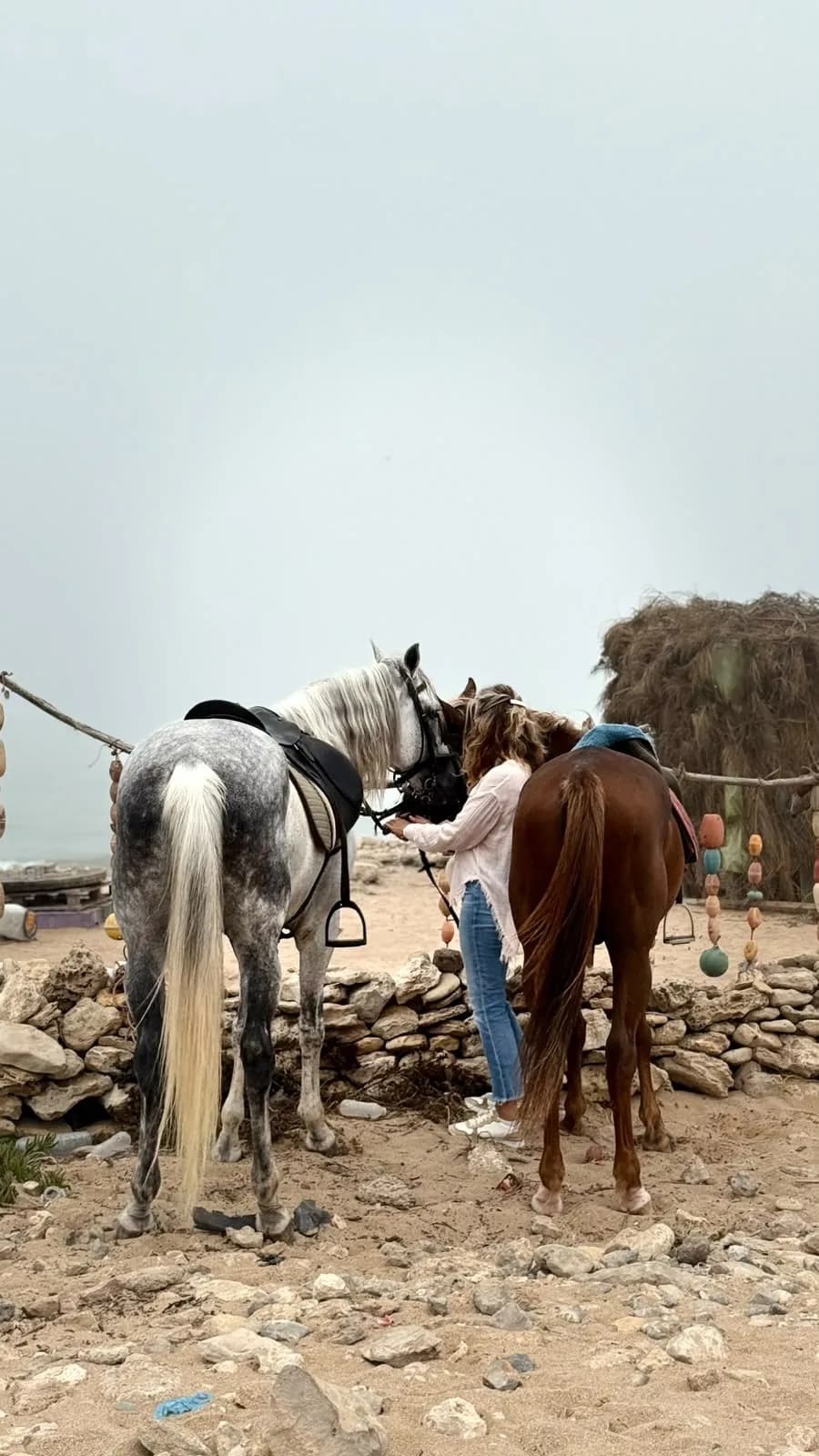 2h Sunset Horseback Ride in Essaouira - Image 5