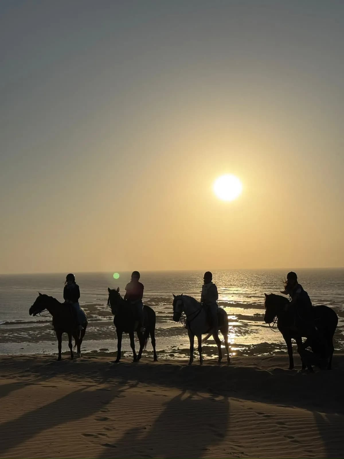 1h Sunset Horseback Ride in Essaouira - Image 4