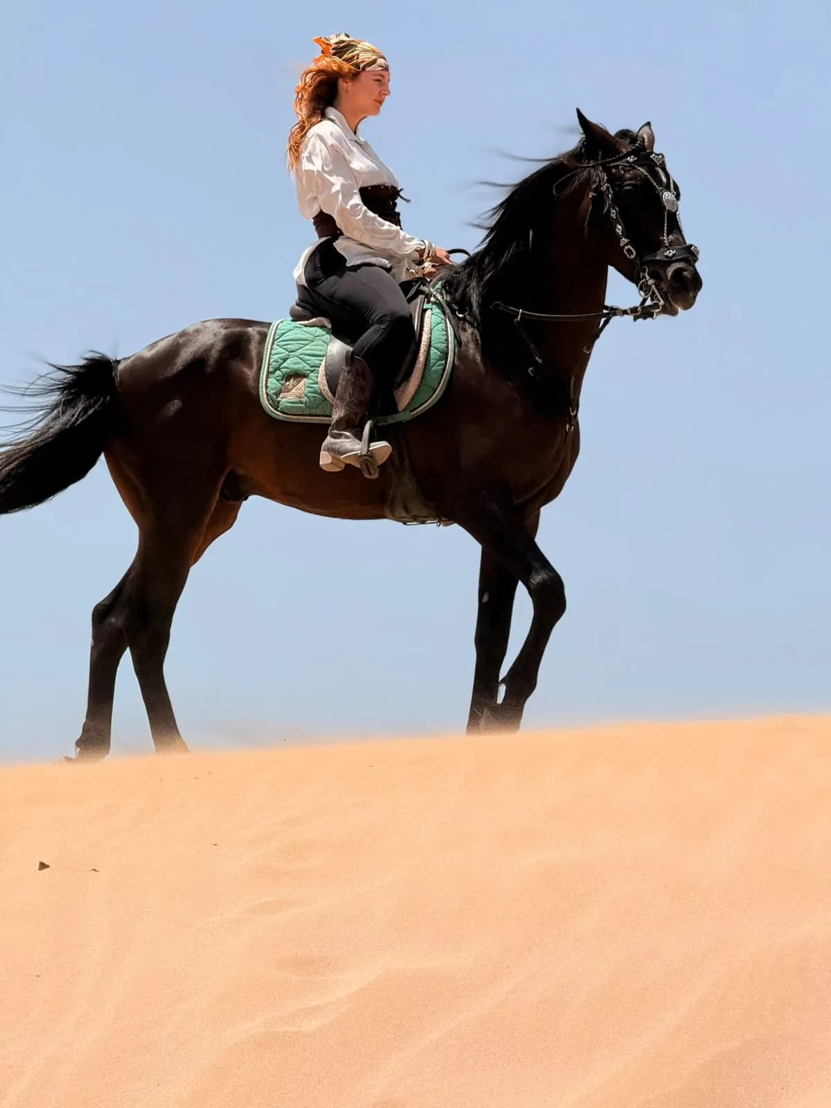 1h Daytime Horseback Ride in Essaouira - Image 5