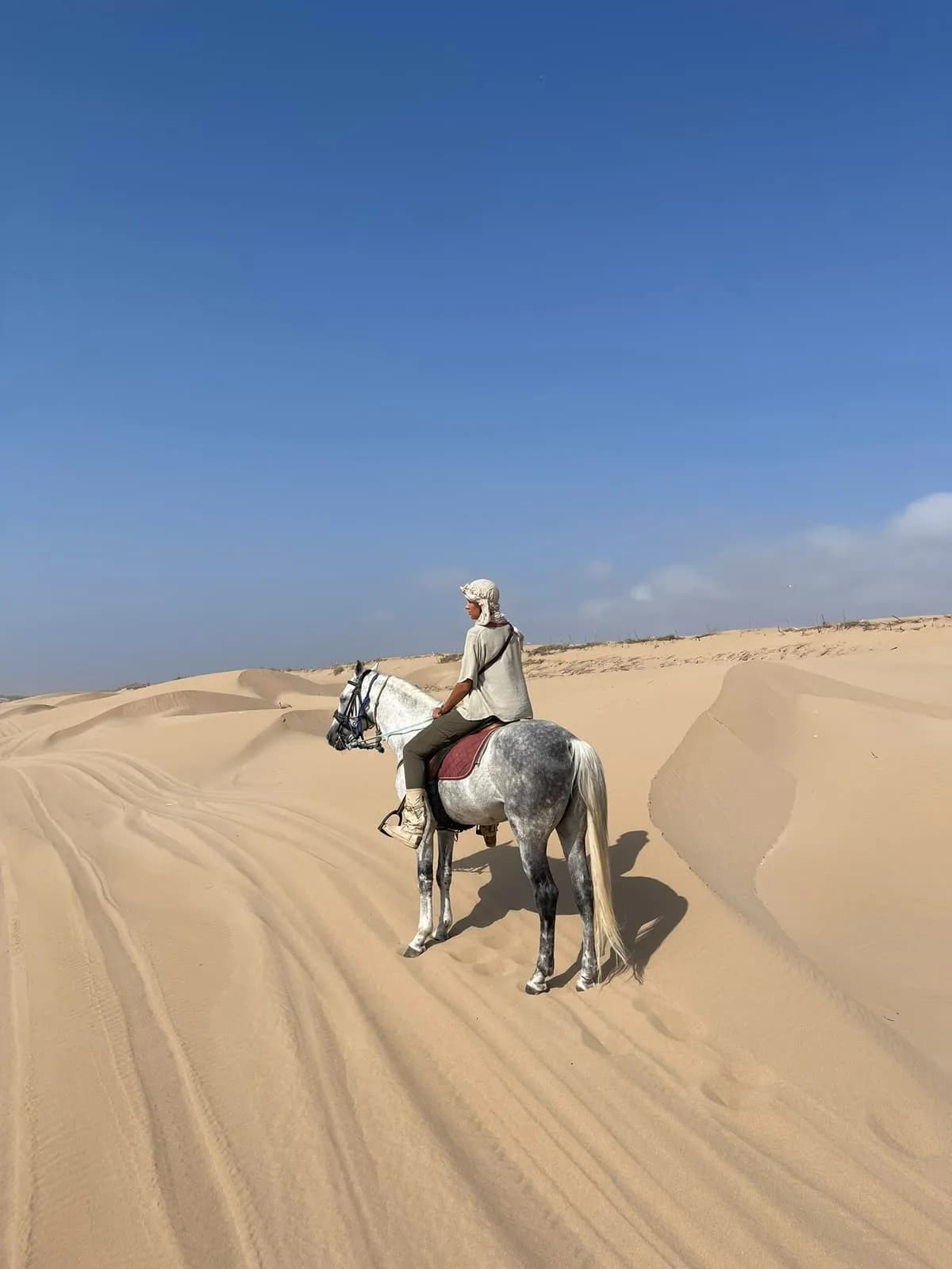 1h Daytime Horseback Ride in Essaouira - Image 4