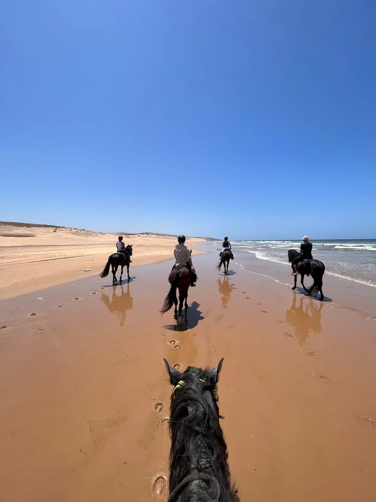 4-Hour Horseback Trek in Essaouira with Moroccan Tea Break - Image 4