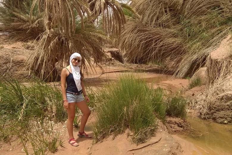 Desert & Erfoud Fossil Quarry Offroading Tour - Image 7