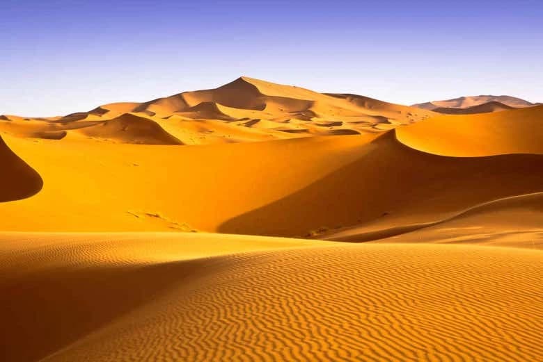 Tifnit Dunes Sandboarding - Image 3