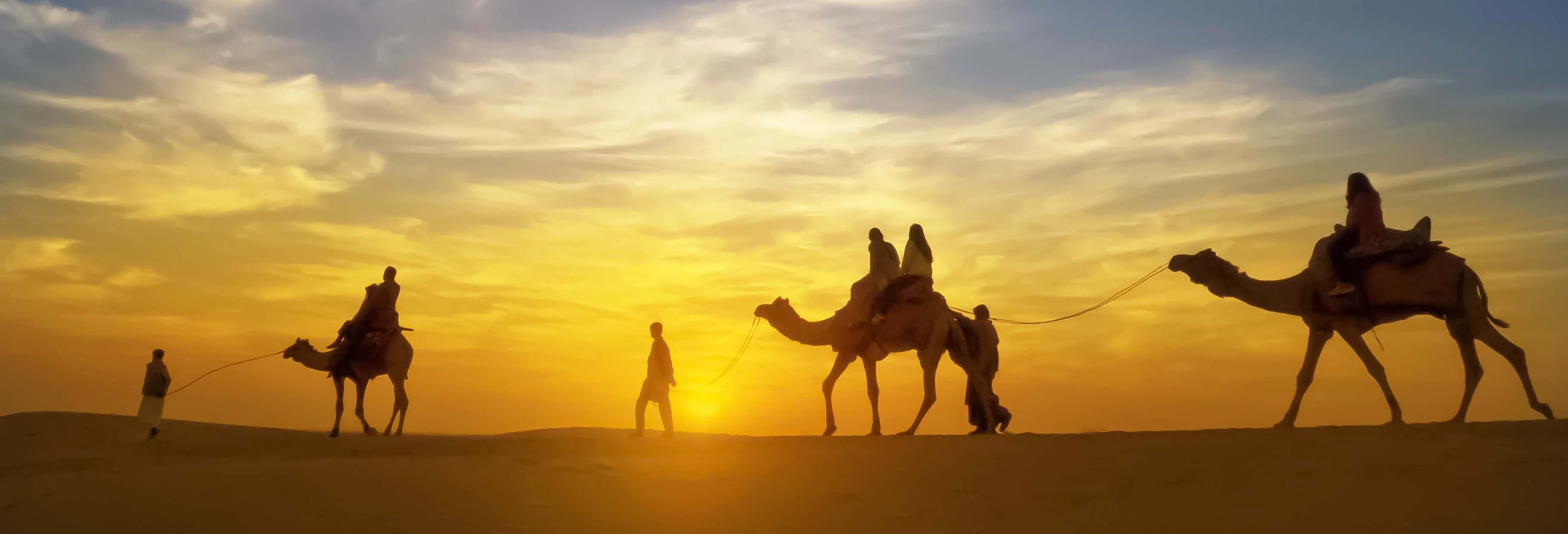Cavallo nel Deserto + Cena
