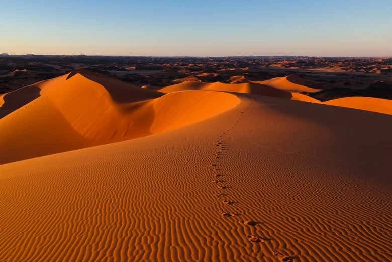 Merzouga Desert Quad Bike Tour - Image 8