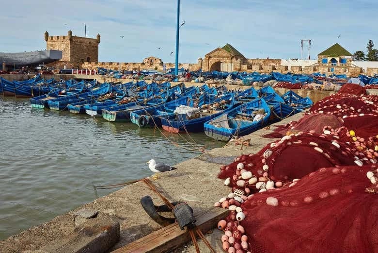 Essaouira Day Trip - Image 2
