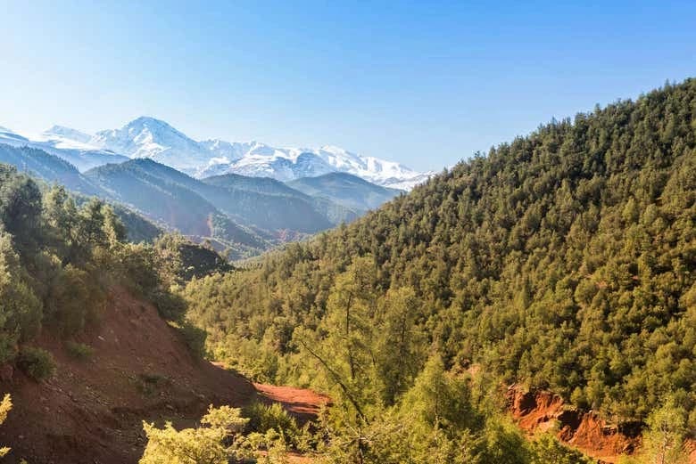 Ourika Valley Day Trip - Image 8