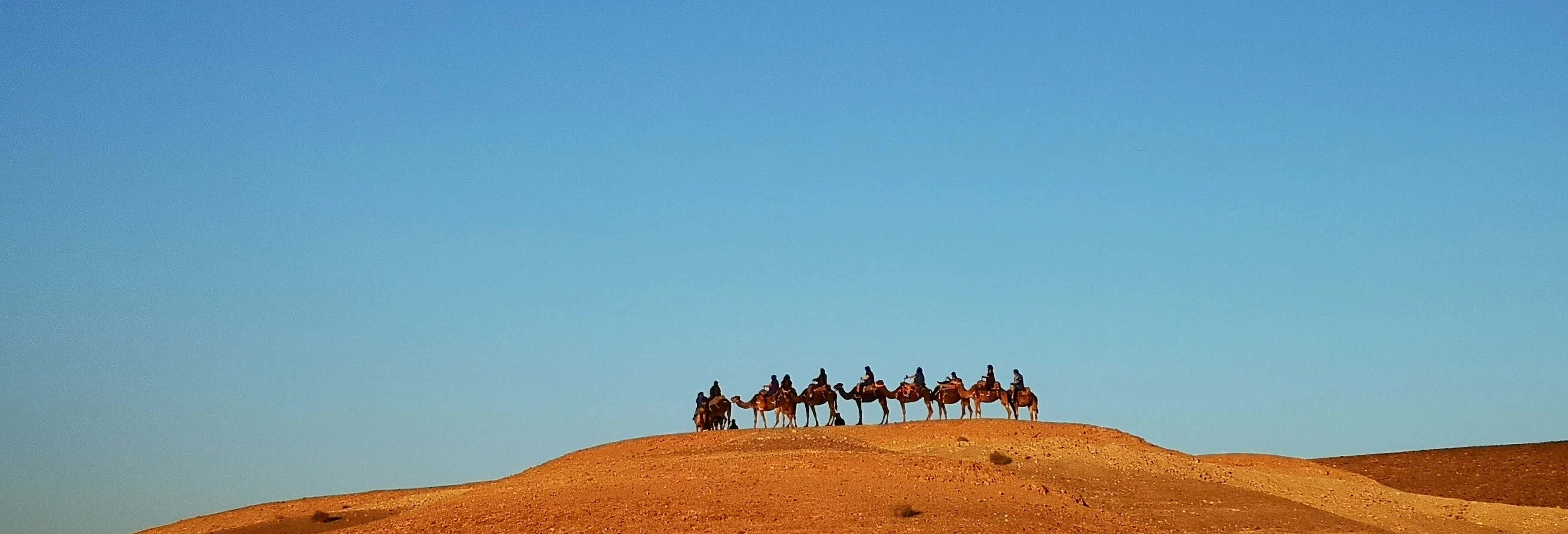 Agafay Desert Day Trip