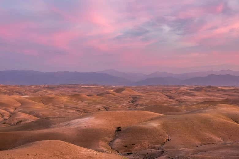 Desert Camel Ride + Dinner - Image 3