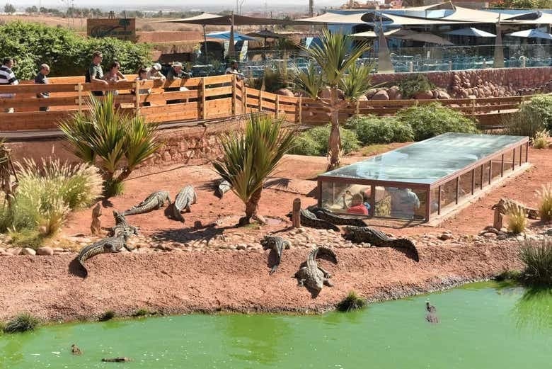 Viaje Crocoparc - Image 2