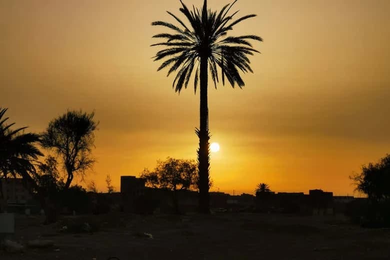 Sunset Camel Ride with Dinner in Agadir - Image 7