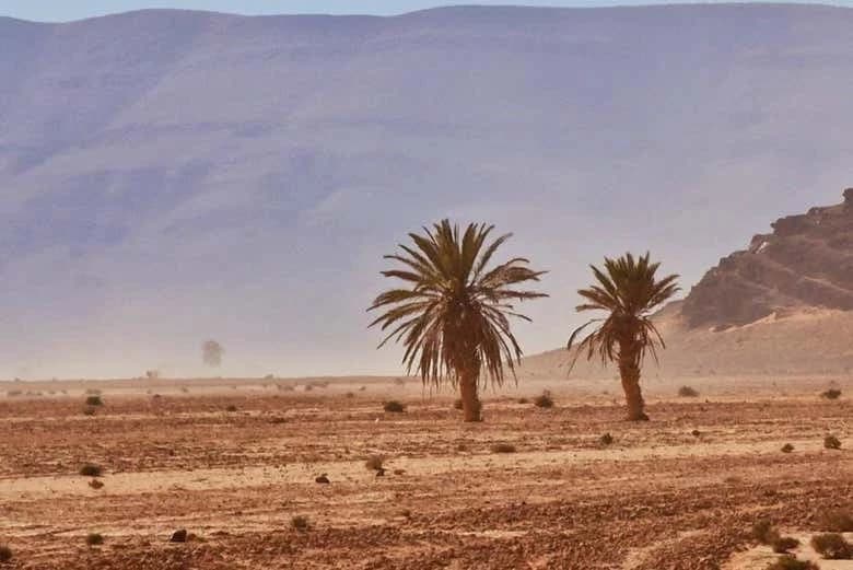 El Borj Desert 2-Day Trip - Image 6