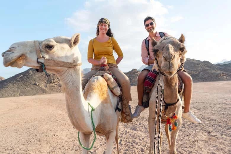 Agadir Camel Ride - Image 4
