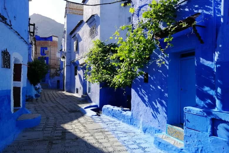 Chefchaouen Private Tour - Image 7