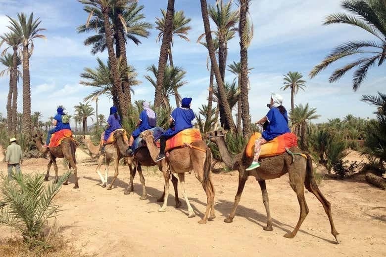 Marrakech Palm Grove Camel Ride - Image 1