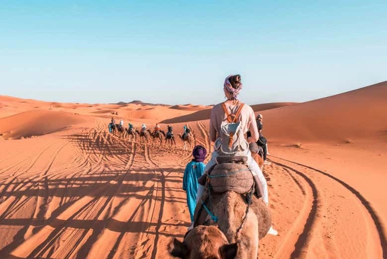 Dakla Camel Ride Experience - Image 2