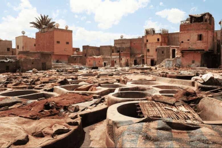 Marrakech Day Trip - Image 7