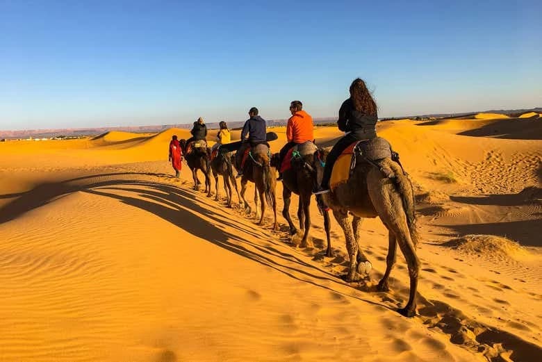 Desert Full-Day Trip - Image 14