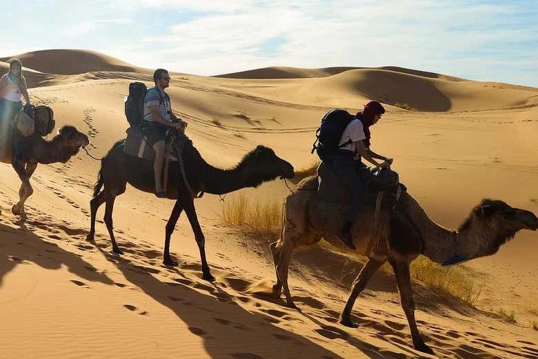 Sunset Camel Ride with Dinner in Agadir - Image 3