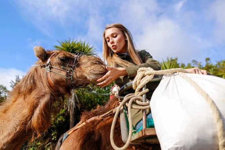 Agadir Camel Ride - Image 5