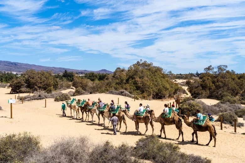 Agadir Camel Ride - Image 6