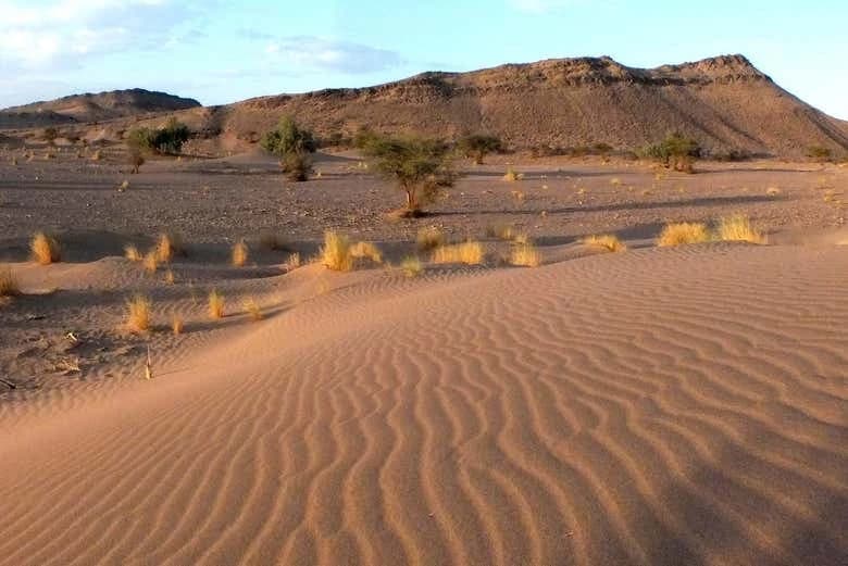 Desert Full-Day Trip - Image 7