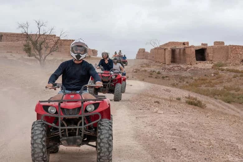 Tour in quad e cammello a Palm Grove - Image 2