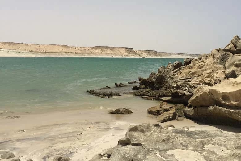 Dajli White Dune 4x4 Private Tour - Image 6