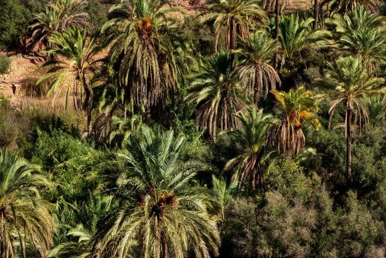 Paradise Valley Day Trip - Image 7