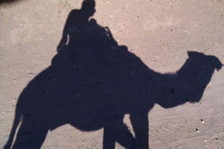 Desert Full-Day Trip - Image 5