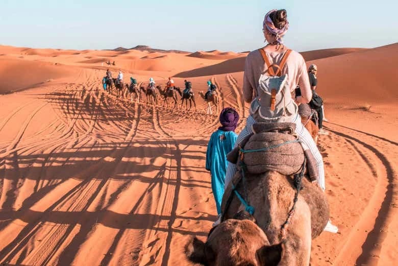 Desert Camel Ride + Dinner - Image 2