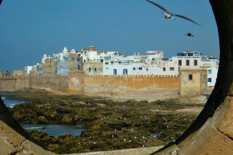 Essaouira Day Trip - Image 7