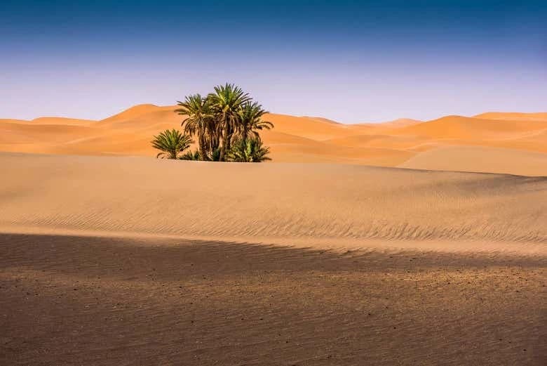 Merzouga Desert Buggy Tour - Image 8