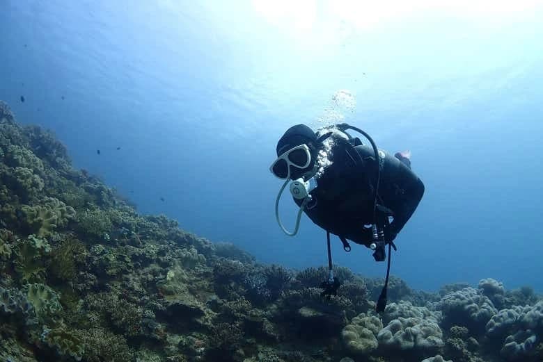 Dakhla Beginners Scuba Diving - Image 8