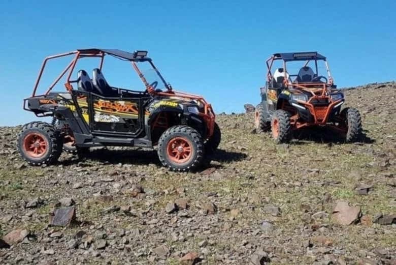 Buggy Tour and Camel Ride - Image 3