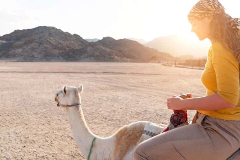 Agadir Camel Ride - Image 7