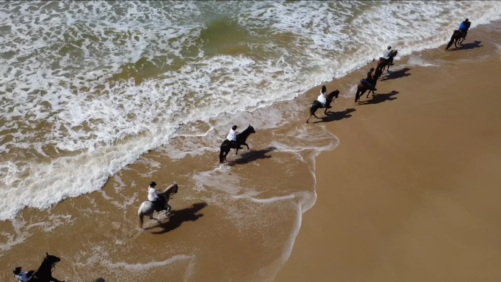 1h Daytime Horseback Ride in Essaouira - Image 2