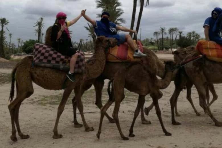 Buggy Tour and Camel Ride - Image 5