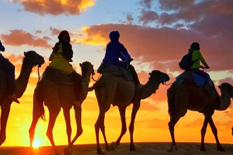 Sunset Camel Ride with Dinner in Agadir - Image 2