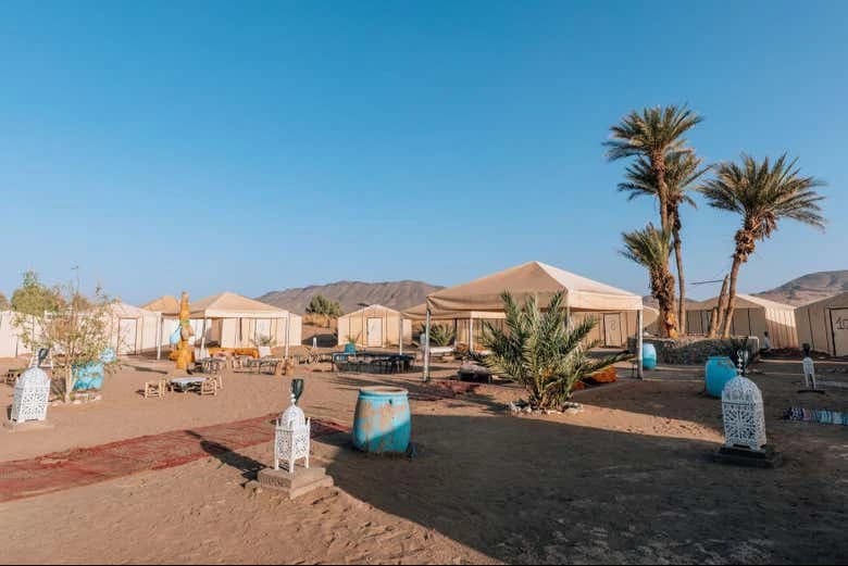 Camel Ride and Night in the Desert - Image 6