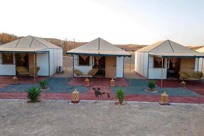 Desert Camel Ride + Dinner - Image 9
