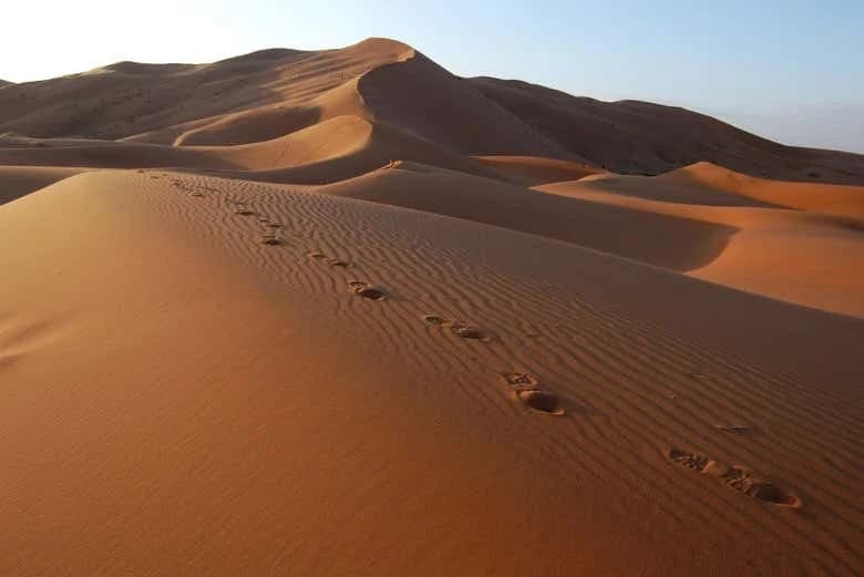 Private Merzouga Desert Day Trip with Khamlia - Image 2