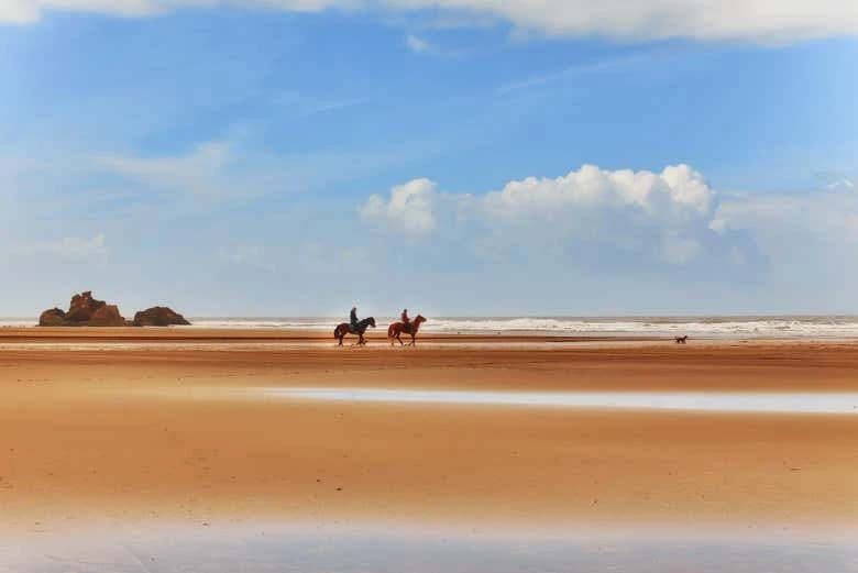 Horseback Ride in Essaouira - Image 7