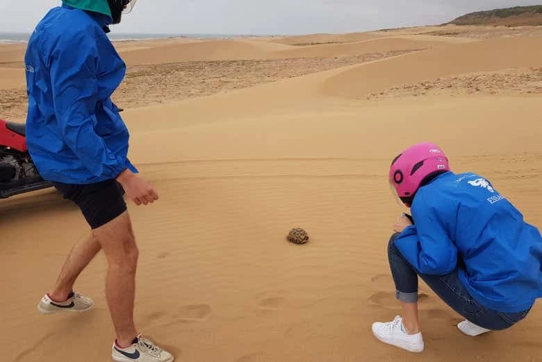 Essaouira Quad Tour - Image 8